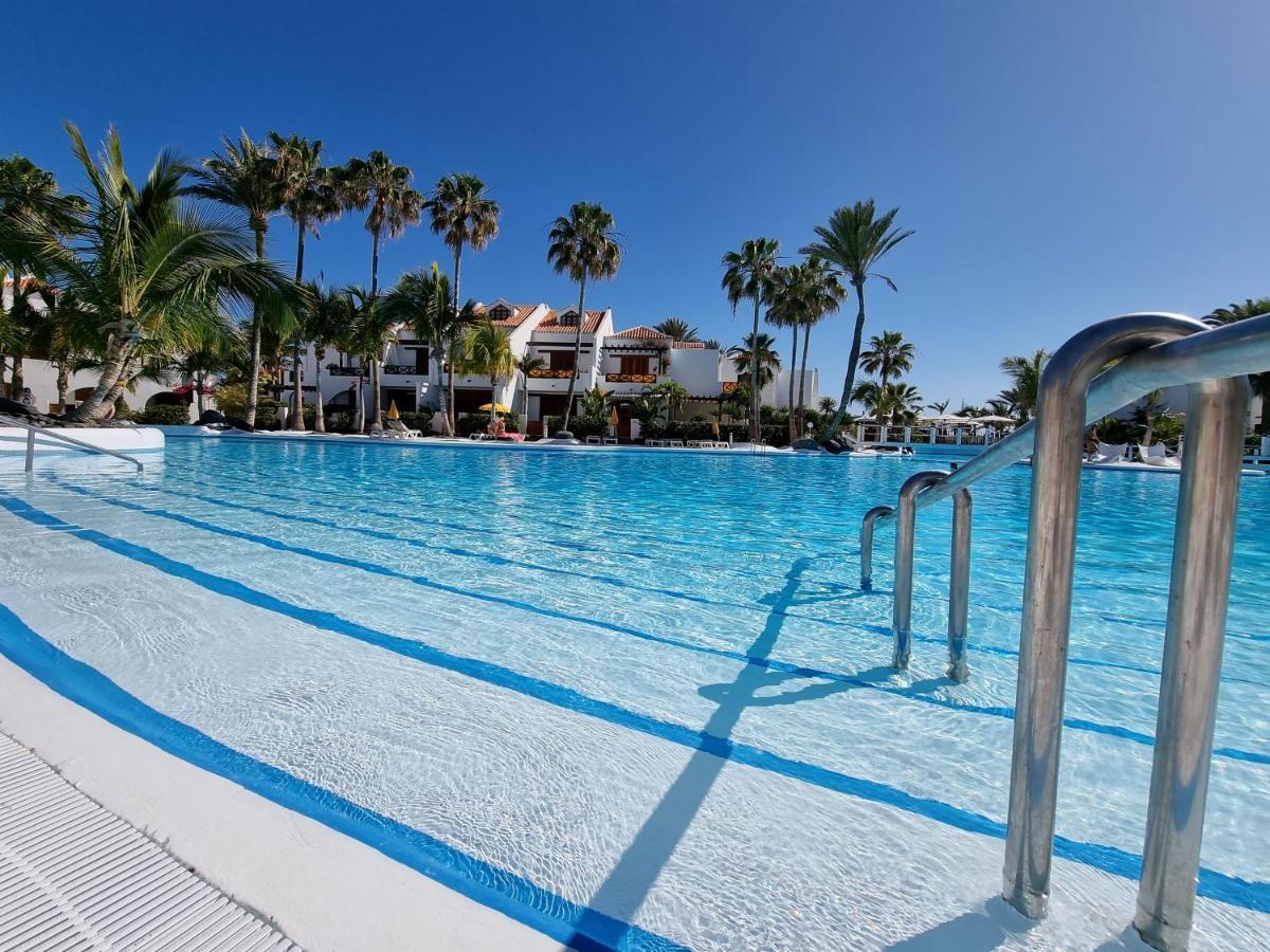 Studio Apartment No 1 Directly On The Beach And Sea, Terrace, Heated Pool, Wifi 美洲海滩 外观 照片