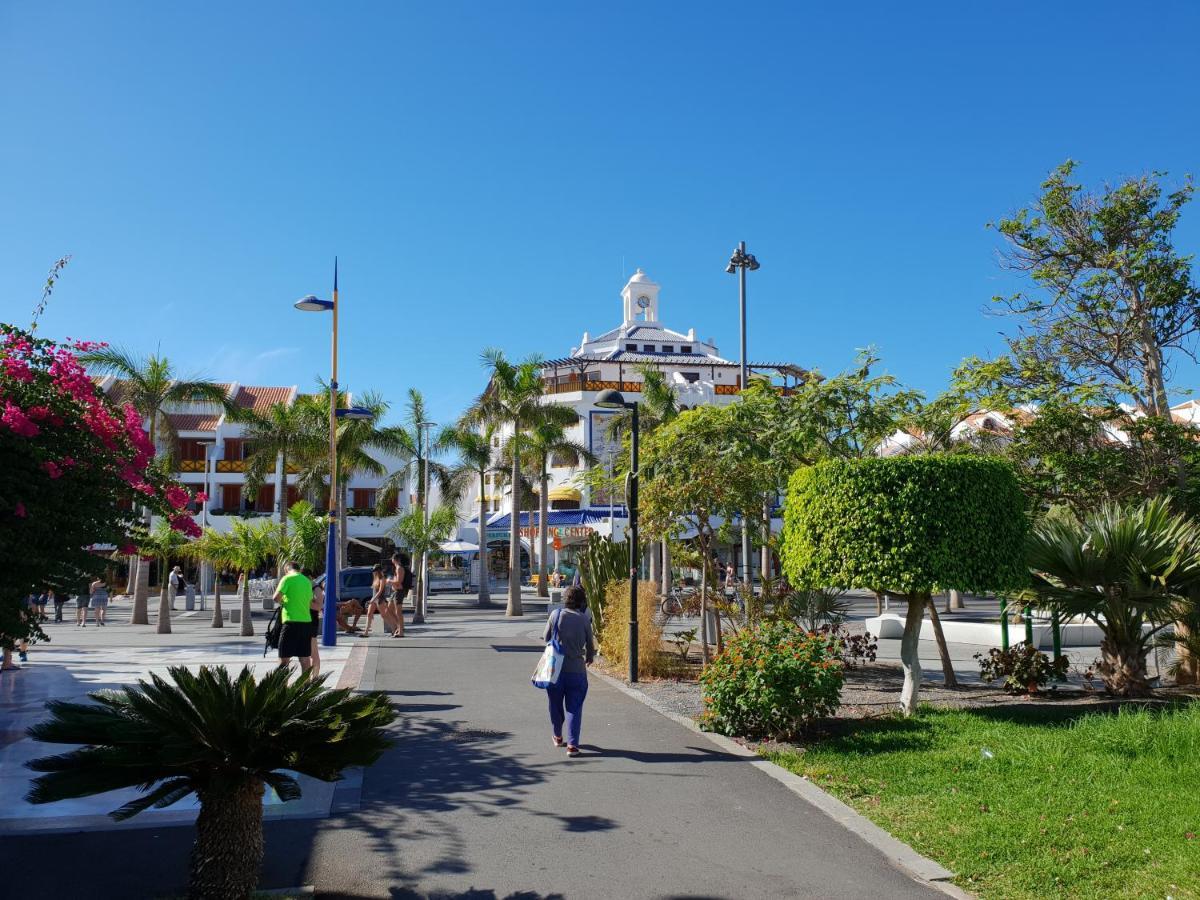 Studio Apartment No 1 Directly On The Beach And Sea, Terrace, Heated Pool, Wifi 美洲海滩 外观 照片